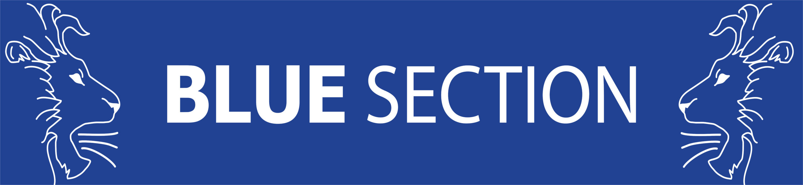 Afgørende fase af sæsonen 2019/20 med nyt Blue Section banner